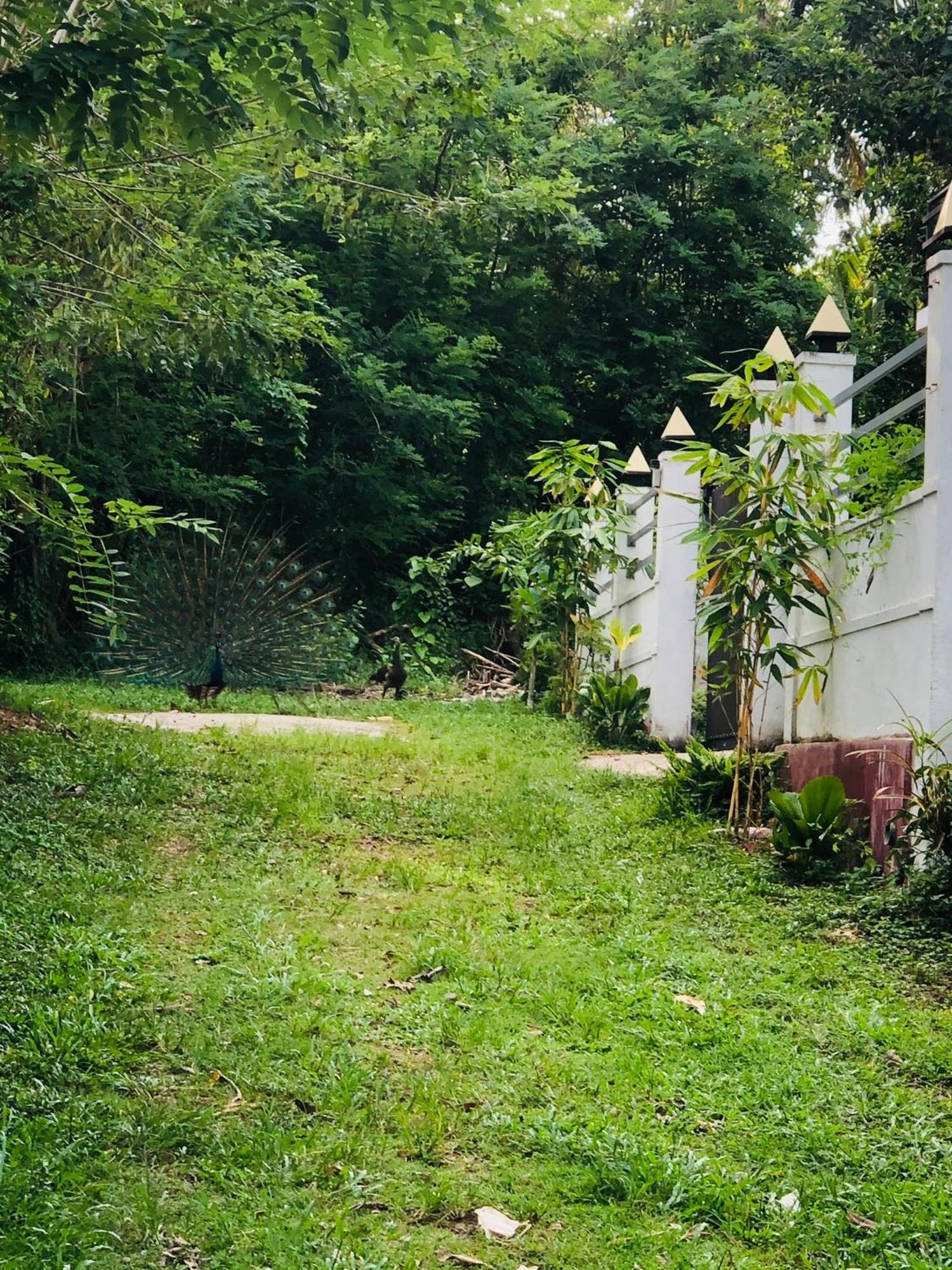 Lanka Villa Mirissa Extérieur photo